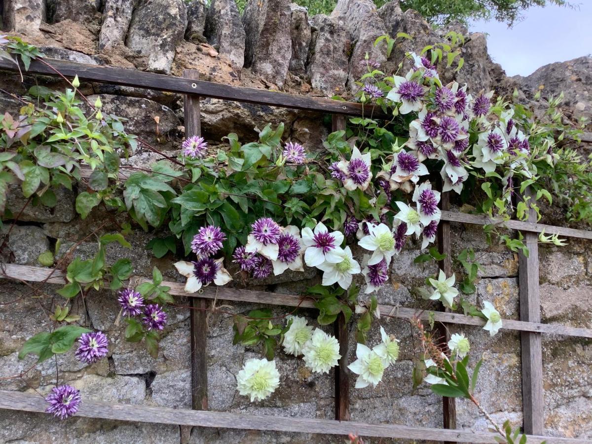 Hollyhock Cottage, Clematis Cottages, Stamford Luaran gambar